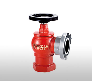 SNZW65-I-Y旋转减压稳压型